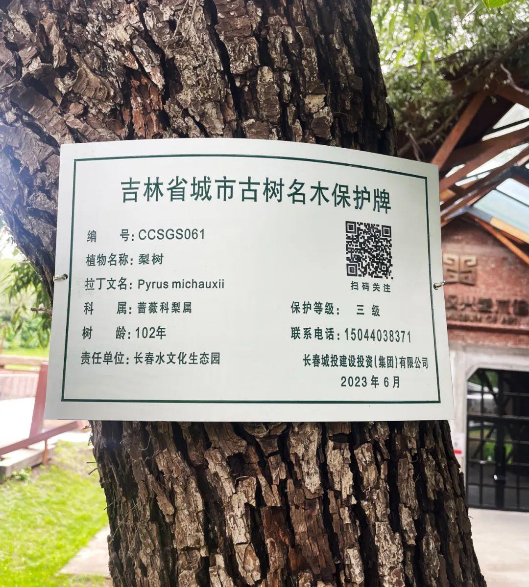CA88(中国区)唯一官方网站